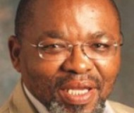 Gwede Mantashe 